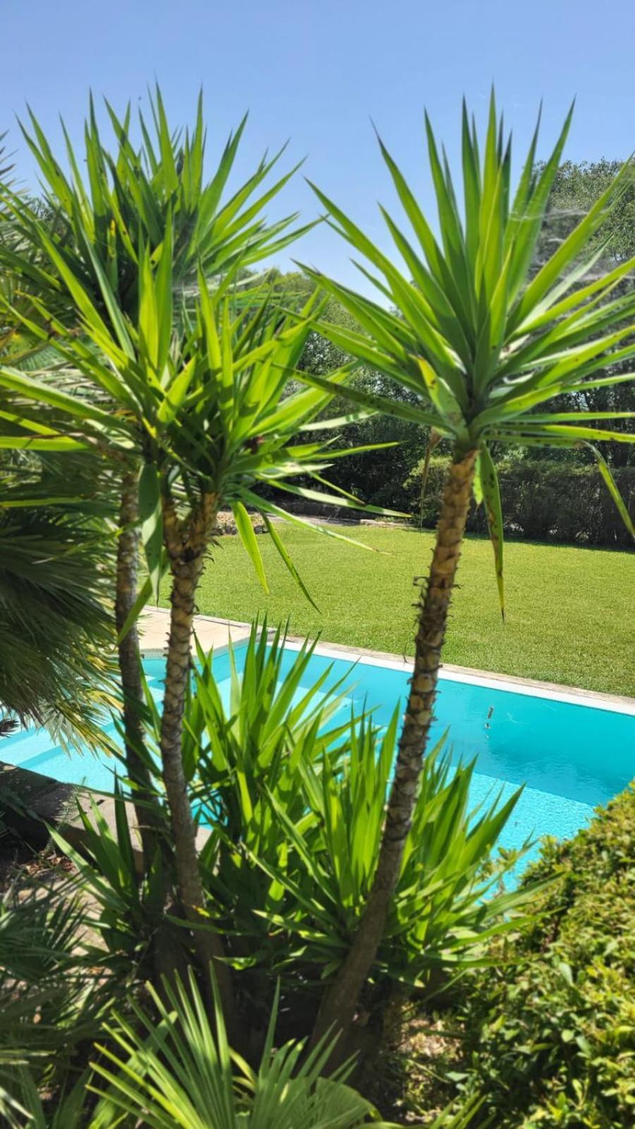 Mas La Floreline Cheval-Blanc Exterior photo